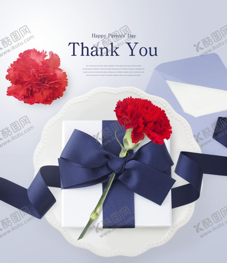 编号：65230409141639235692【酷图网】源文件下载-康乃馨