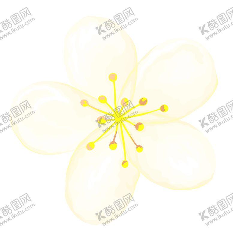 编号：54961610061310249290【酷图网】源文件下载-花素材