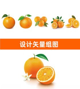 橙子矢量