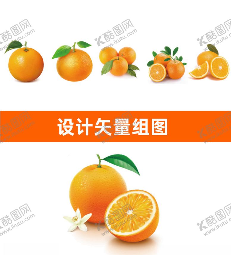 编号：69376609132012197146【酷图网】源文件下载-橙子矢量