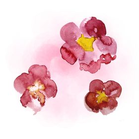 梅花桃花PNG