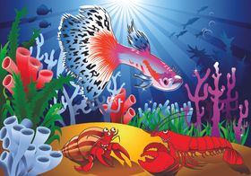 海底乐园生物水底乐园水草
