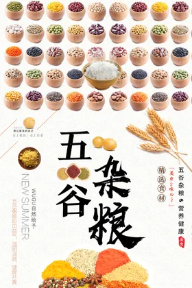 五谷杂粮海报店展架食店