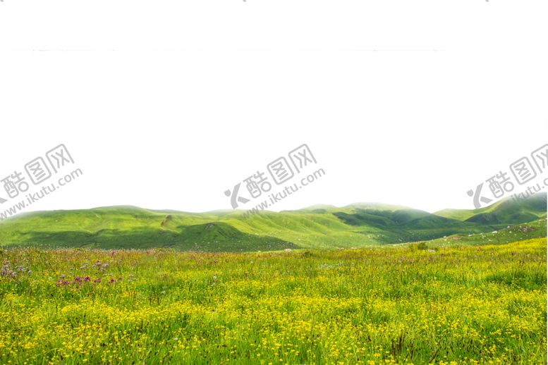 编号：62412602171720404660【酷图网】源文件下载-草地
