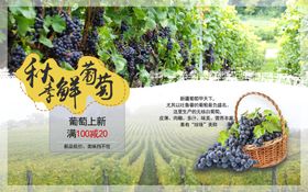 水果详情页水果素材蔬菜素材