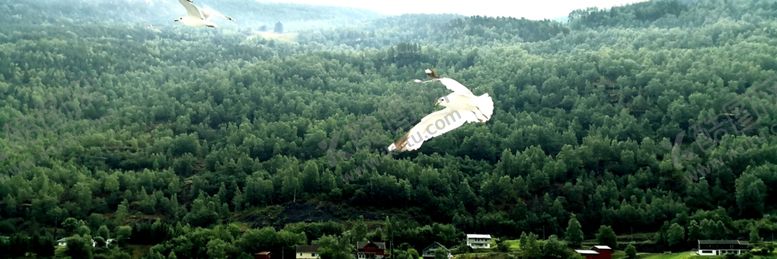 编号：95215610200616298071【酷图网】源文件下载-装饰画