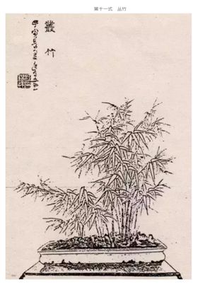 盆景造型十一式