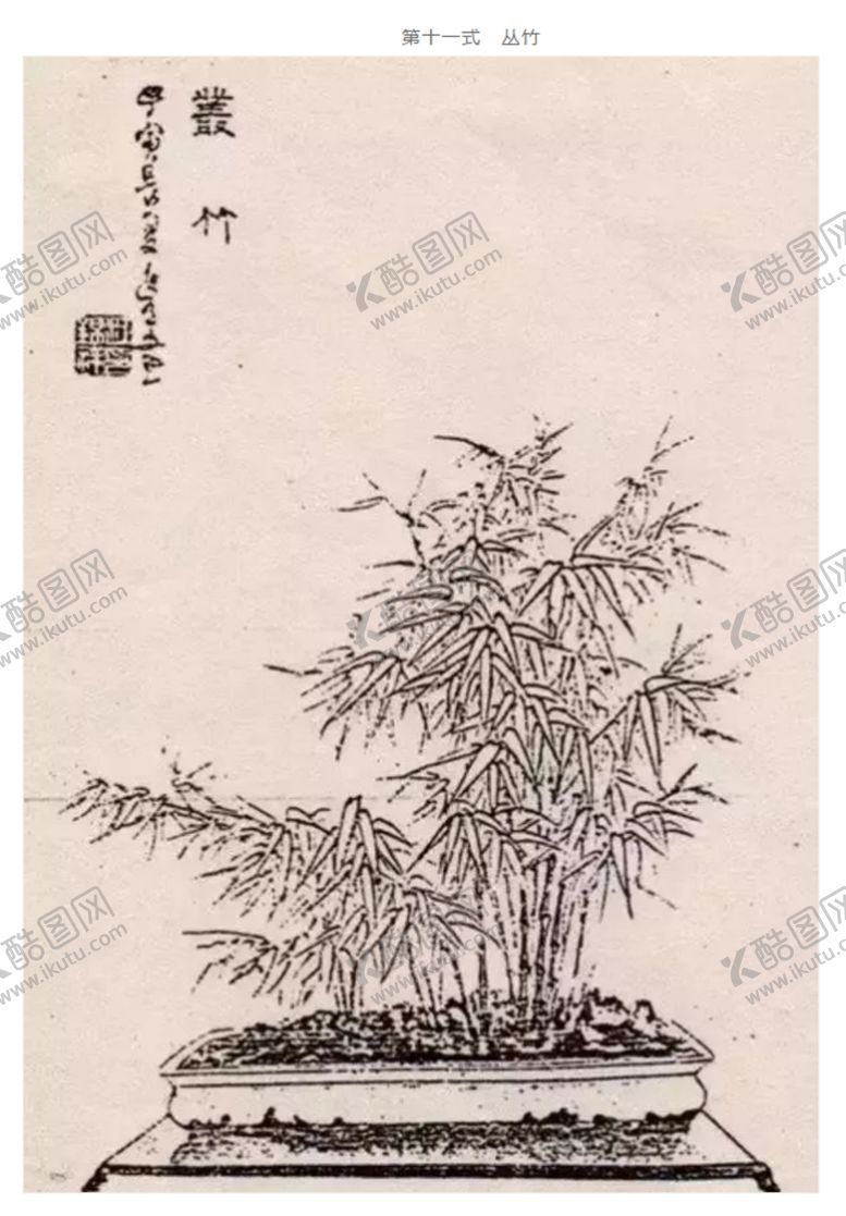 编号：82611104300315115661【酷图网】源文件下载-盆景造型十一式