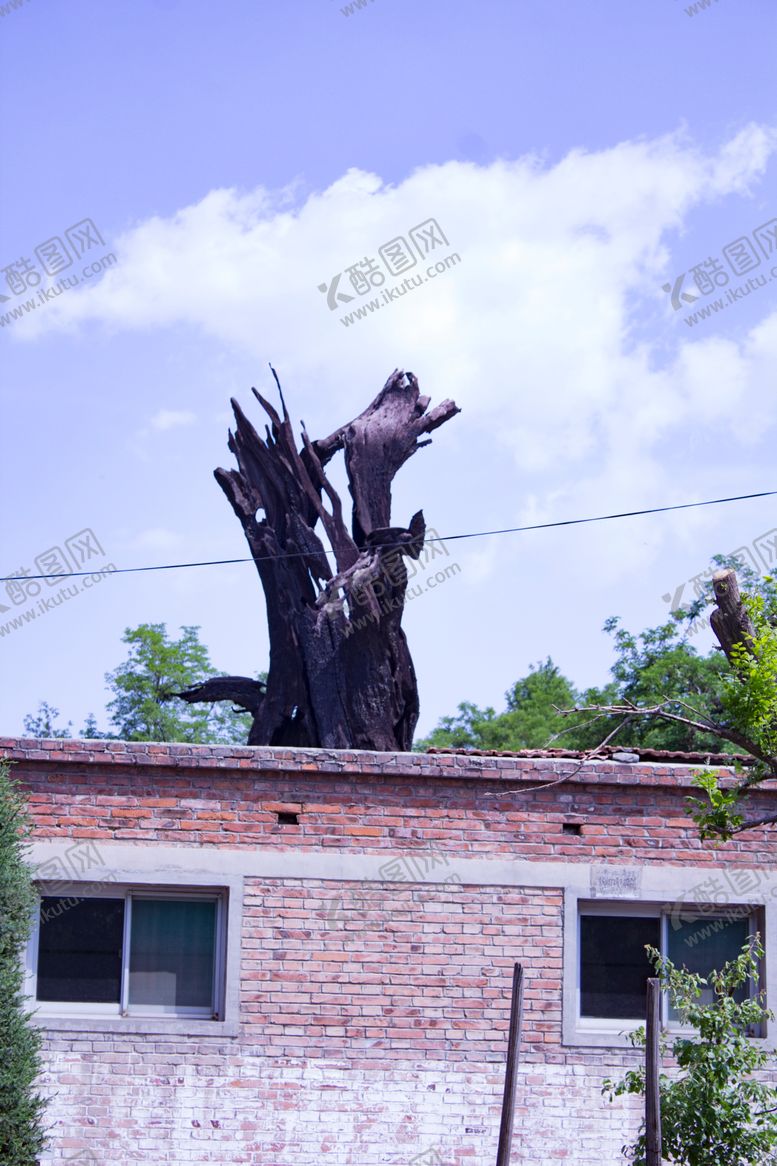 编号：84480609210314211831【酷图网】源文件下载-树桩