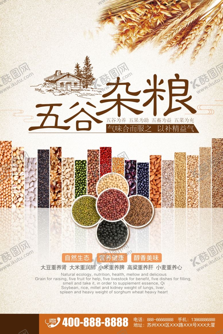 编号：11707705061808054338【酷图网】源文件下载-五谷杂粮海报