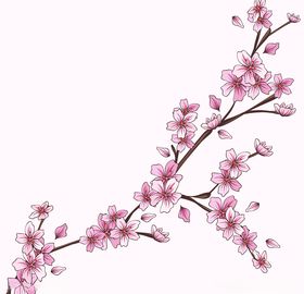 樱花植物卉树AI设计素材AI矢量图