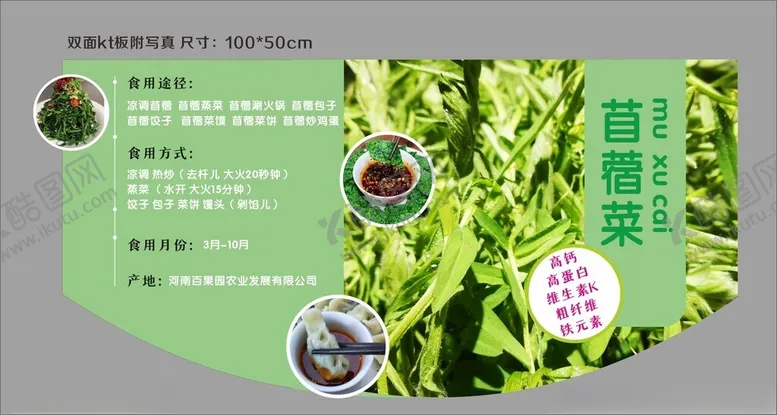 编号：72497502080222019707【酷图网】源文件下载-商超店教青菜货架吊牌