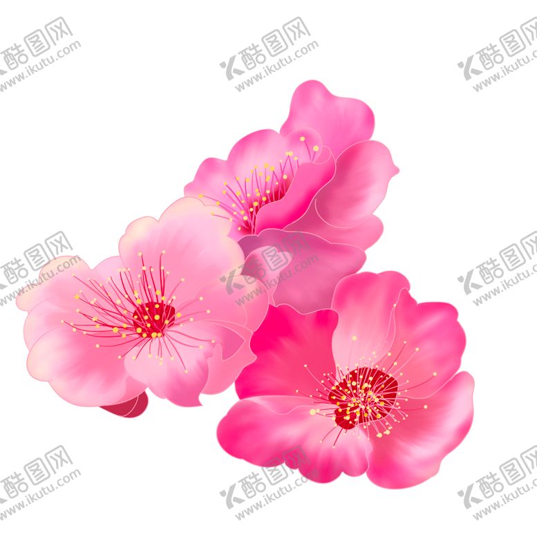 编号：80343202120011417557【酷图网】源文件下载-粉红色桃花特写