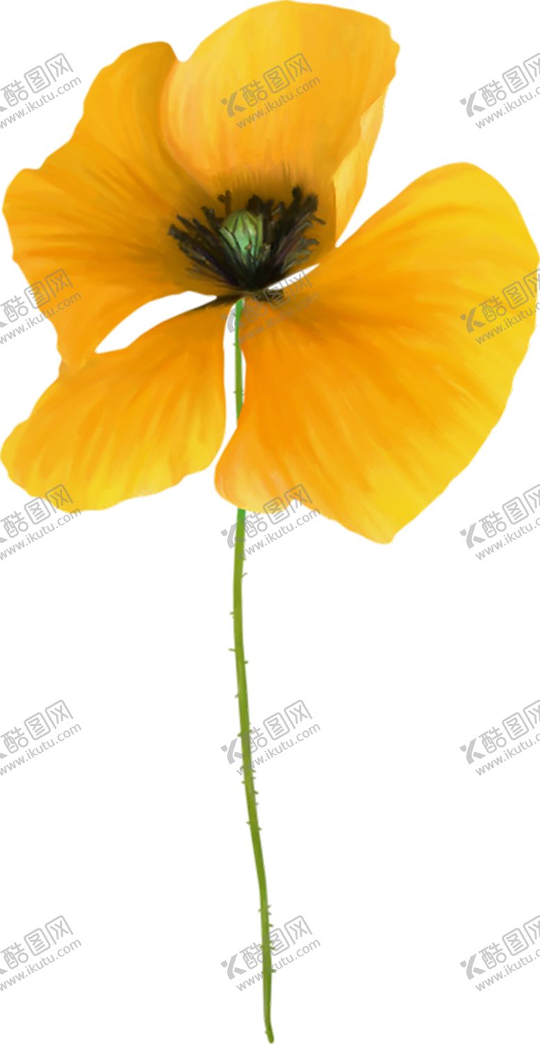 编号：68014606260533501110【酷图网】源文件下载-鲜花素材