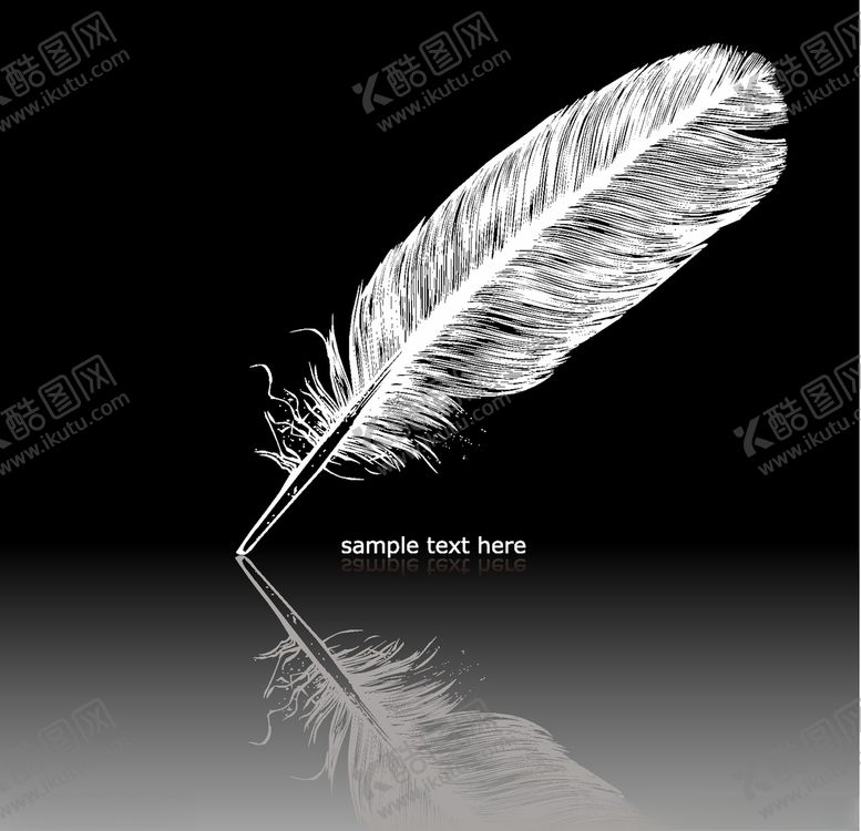 编号：47822709120721295251【酷图网】源文件下载-羽毛