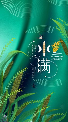 小满时节小麦祝福问候海报界面