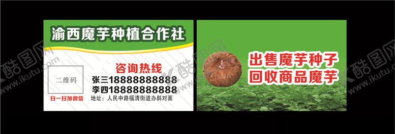 编号：85971909221536297198【酷图网】源文件下载-魔芋收购名片