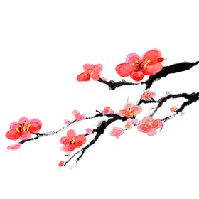 中国风水墨梅