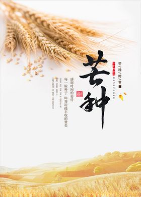芒种节气海报