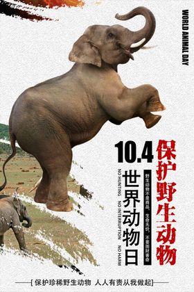 保护野生动物