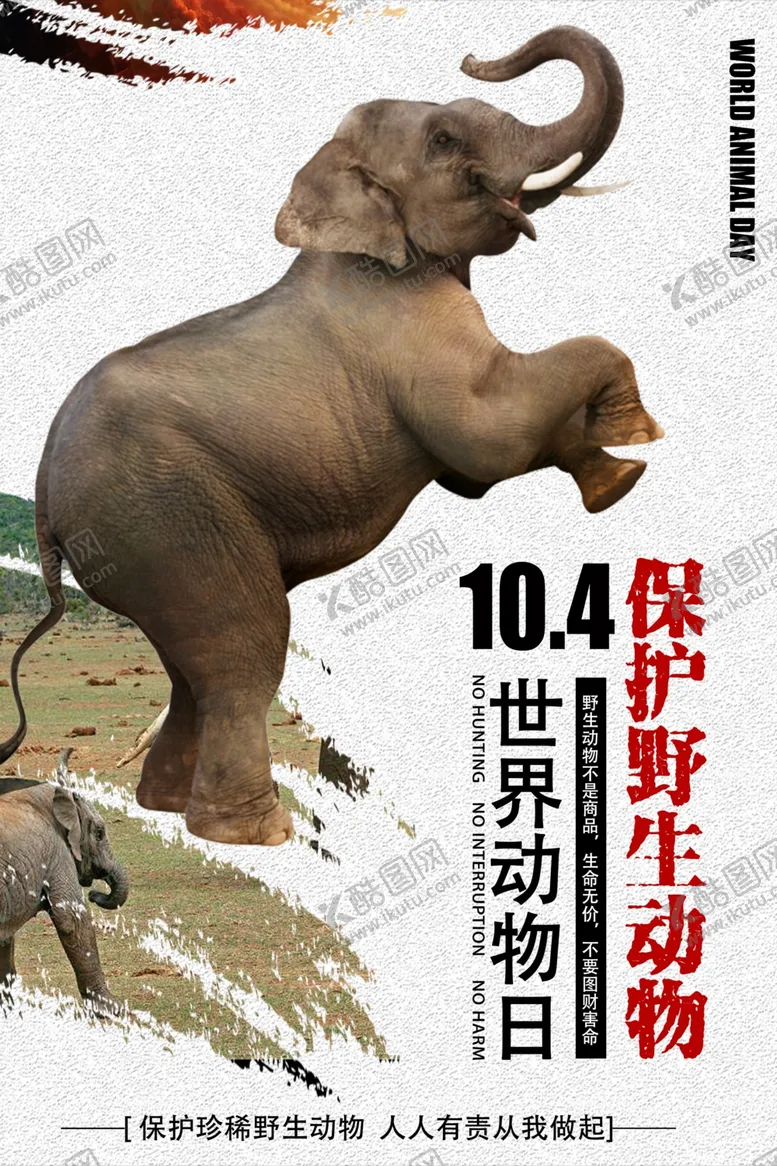 编号：41260707020949333436【酷图网】源文件下载-保护野生动物