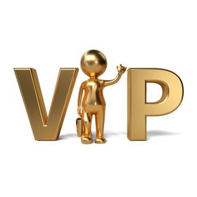 金属小人vip图标