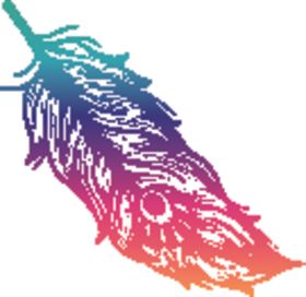彩色羽毛