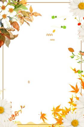 秋天背景色枫树季底纹