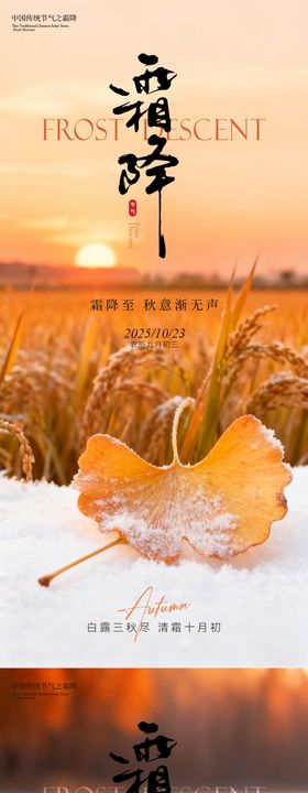 实景霜降海报