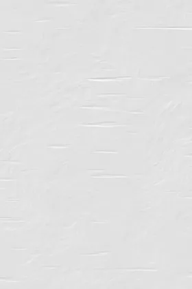 平面设计薄膜纹理PNG