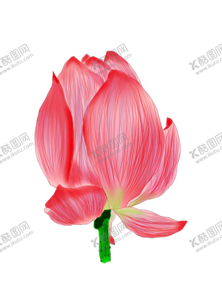 编号：45141607140349552296【酷图网】源文件下载-手绘荷花