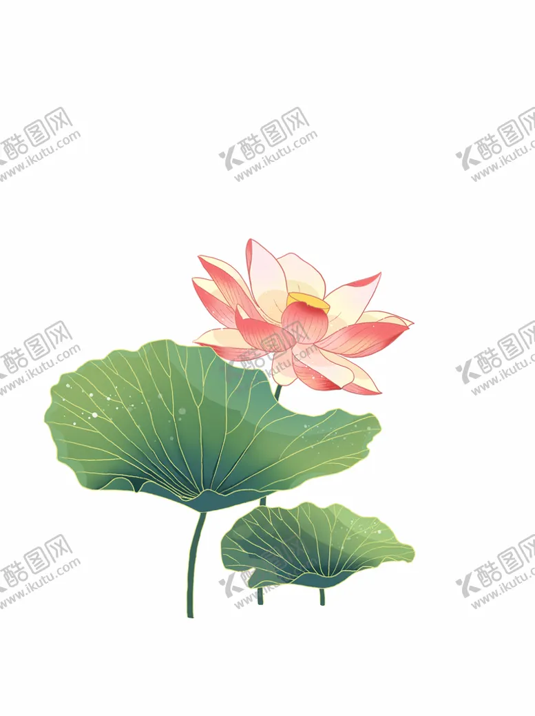 编号：09186209160842300247【酷图网】源文件下载-荷花素材莲花荷叶