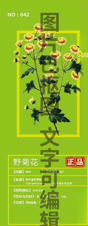 野菊花