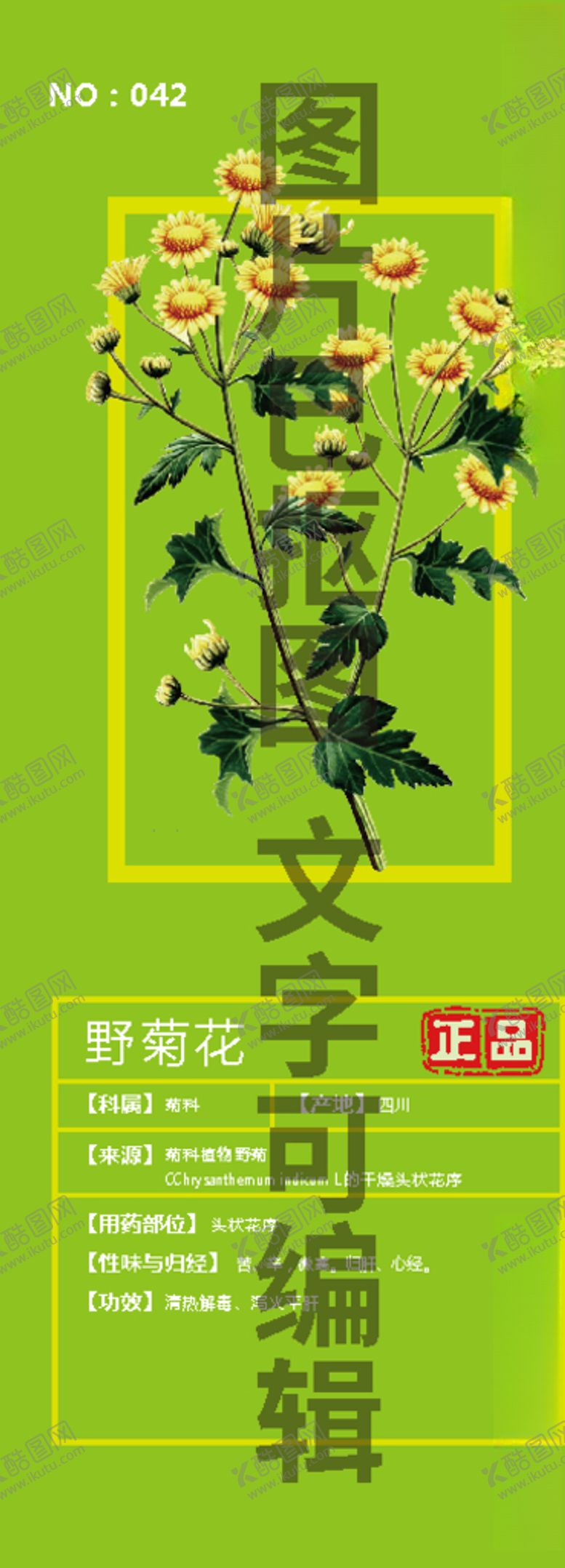 编号：58748106301157361999【酷图网】源文件下载-野菊花