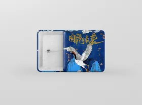 文创样机潮流提案品牌手壳
