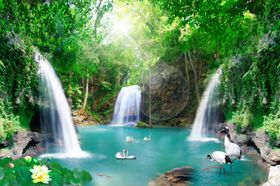 山水风光自然风景天鹅湖丹顶鹤