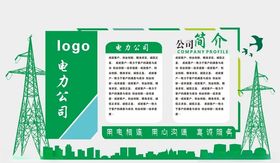 电力企业简介