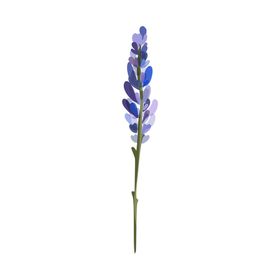森系花枝