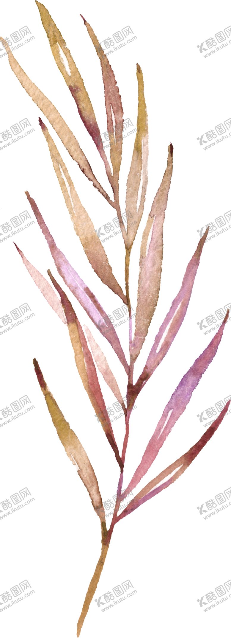 编号：15560105101315022497【酷图网】源文件下载-水彩手绘花卉花朵植物