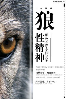 企业文化青春梦想奋斗一起赢2020