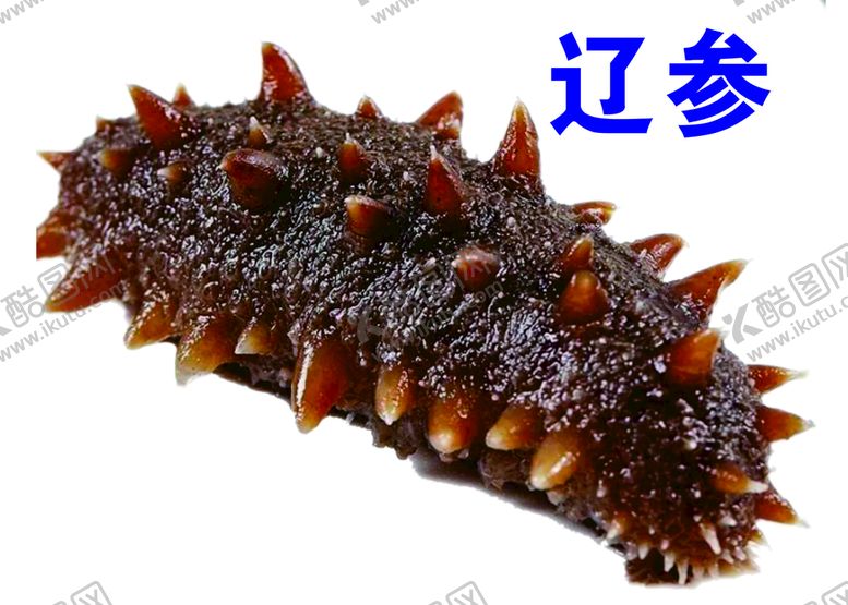 编号：15884202030512425498【酷图网】源文件下载-海带鲜辽参螺旋藻炖辽参清汤海鲜