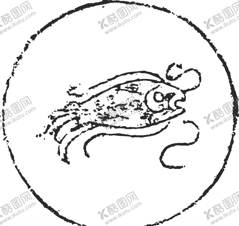 编号：44709705121919573028【酷图网】源文件下载-镂空花图案