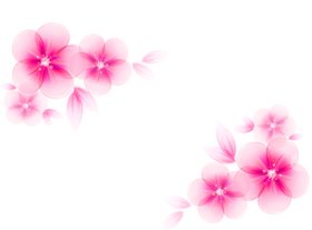 鲜花装饰
