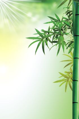 竹子背景海报
