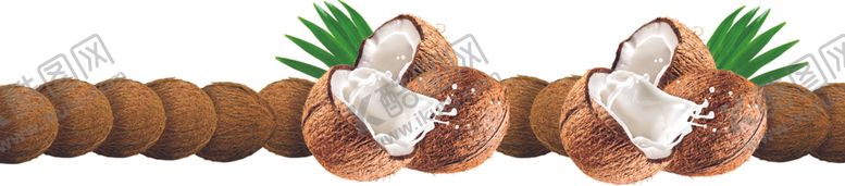 编号：17443809180540418301【酷图网】源文件下载-椰子