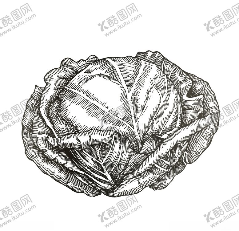 编号：13778510312137181490【酷图网】源文件下载-蔬菜