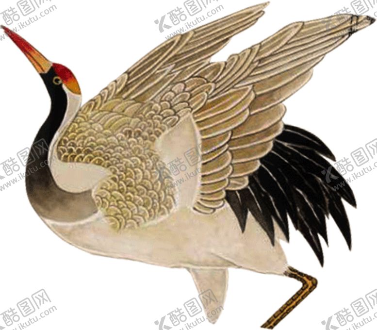 编号：11934510060231276833【酷图网】源文件下载-仙鹤