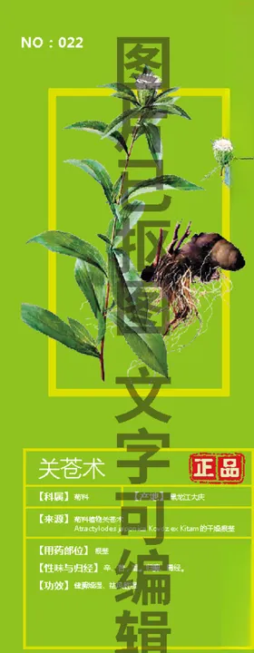 关苍术