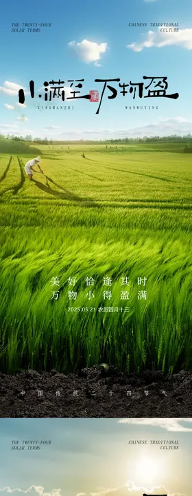 小满二十四节气海报农民麦田