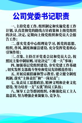 公司党委书记职责